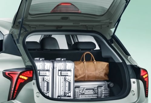 新勢力不止“蔚小理”，純電代步小車市場還有這些實力選擇