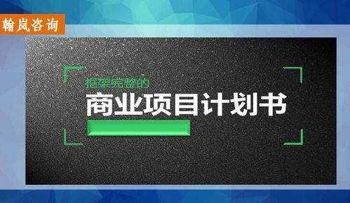 婁底電子商務項目計劃書專業策撰服務指南 找誰做更靠譜？